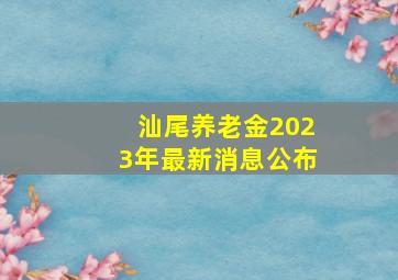 汕尾养老金2023年最新消息公布