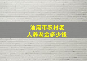 汕尾市农村老人养老金多少钱