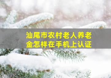 汕尾市农村老人养老金怎样在手机上认证