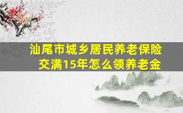 汕尾市城乡居民养老保险交满15年怎么领养老金