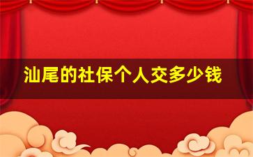 汕尾的社保个人交多少钱