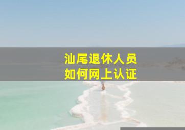 汕尾退休人员如何网上认证