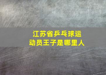 江苏省乒乓球运动员王子是哪里人