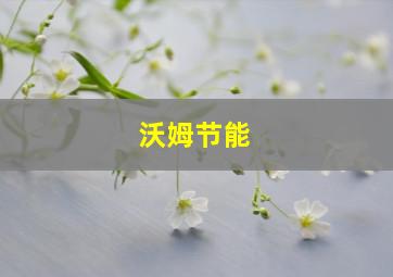 沃姆节能