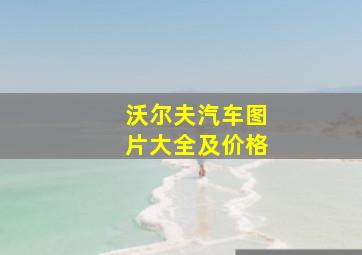 沃尔夫汽车图片大全及价格