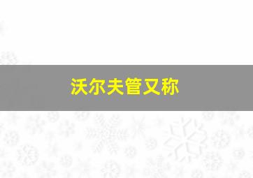 沃尔夫管又称