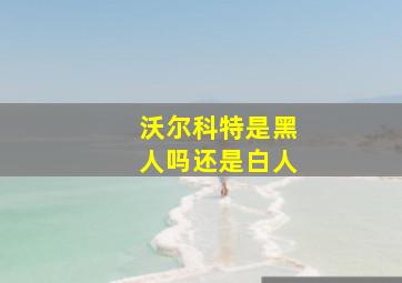 沃尔科特是黑人吗还是白人