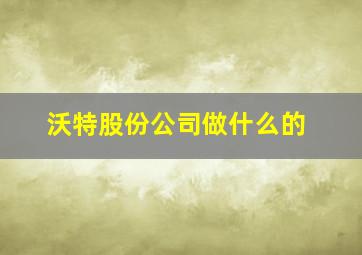 沃特股份公司做什么的