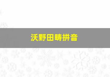 沃野田畴拼音