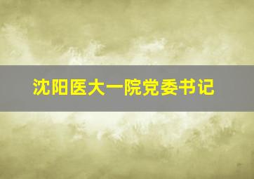 沈阳医大一院党委书记