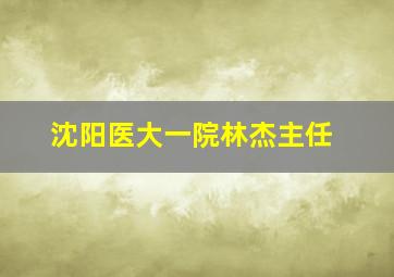 沈阳医大一院林杰主任