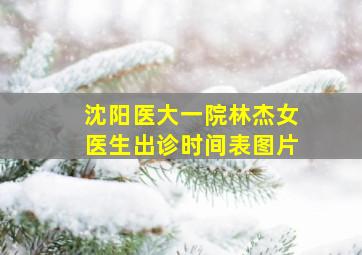 沈阳医大一院林杰女医生出诊时间表图片