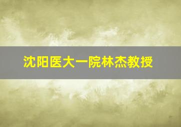 沈阳医大一院林杰教授