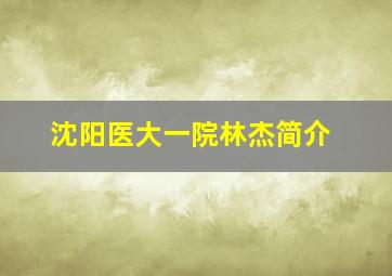 沈阳医大一院林杰简介