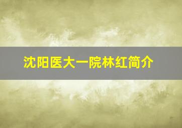 沈阳医大一院林红简介