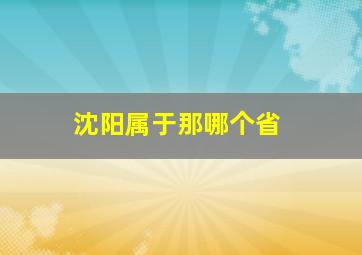 沈阳属于那哪个省