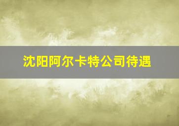 沈阳阿尔卡特公司待遇