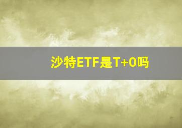 沙特ETF是T+0吗