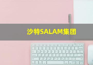 沙特SALAM集团