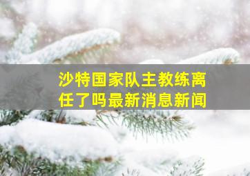 沙特国家队主教练离任了吗最新消息新闻