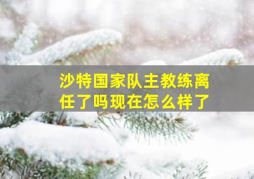 沙特国家队主教练离任了吗现在怎么样了