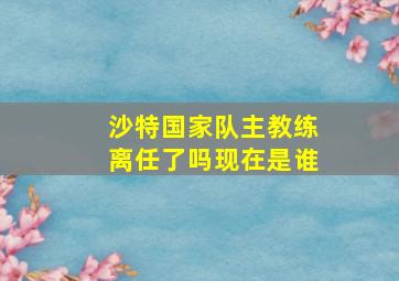 沙特国家队主教练离任了吗现在是谁