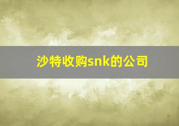 沙特收购snk的公司