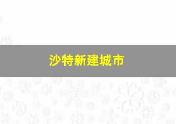 沙特新建城市