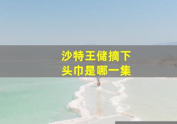 沙特王储摘下头巾是哪一集