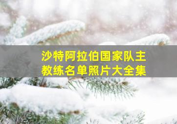 沙特阿拉伯国家队主教练名单照片大全集