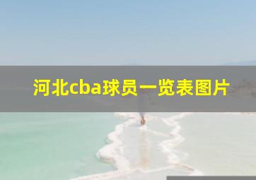 河北cba球员一览表图片