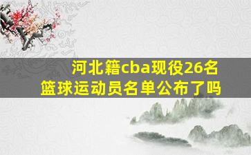 河北籍cba现役26名篮球运动员名单公布了吗