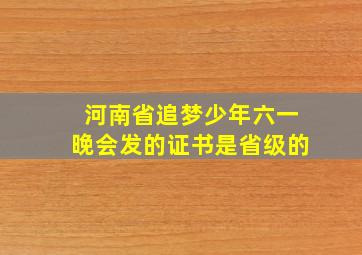 河南省追梦少年六一晚会发的证书是省级的