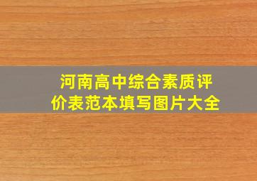 河南高中综合素质评价表范本填写图片大全