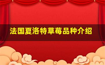 法国夏洛特草莓品种介绍