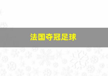 法国夺冠足球