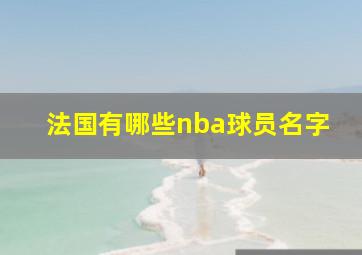 法国有哪些nba球员名字