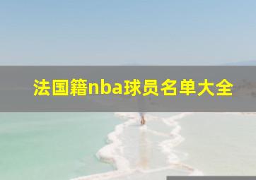 法国籍nba球员名单大全