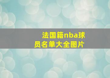 法国籍nba球员名单大全图片