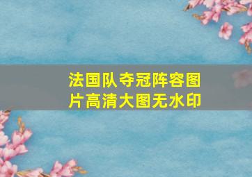 法国队夺冠阵容图片高清大图无水印