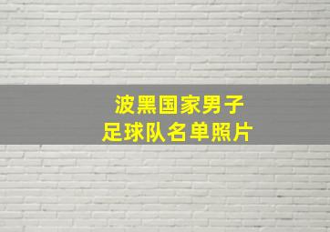 波黑国家男子足球队名单照片