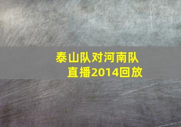 泰山队对河南队直播2014回放