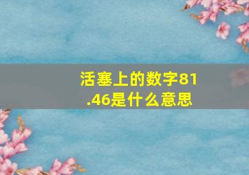 活塞上的数字81.46是什么意思