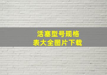 活塞型号规格表大全图片下载