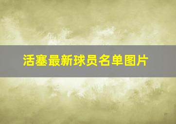 活塞最新球员名单图片