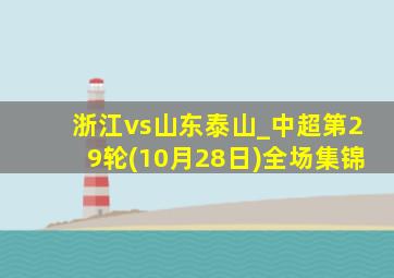 浙江vs山东泰山_中超第29轮(10月28日)全场集锦