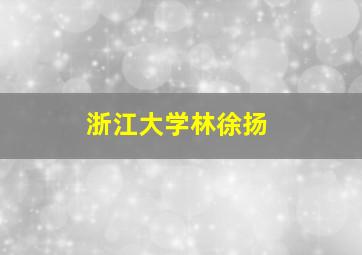 浙江大学林徐扬