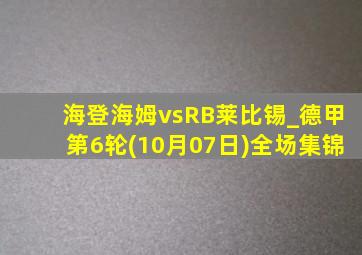 海登海姆vsRB莱比锡_德甲第6轮(10月07日)全场集锦