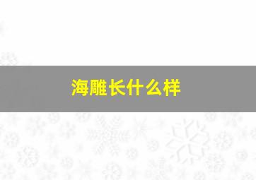 海雕长什么样