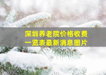 深圳养老院价格收费一览表最新消息图片